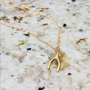 FREE with purchase Wish Bone Dainty Necklace